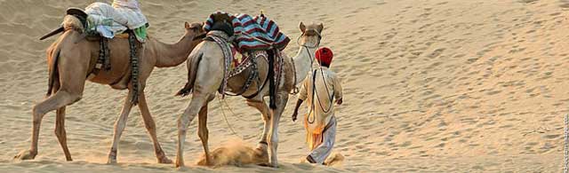 Camel Safari Tours in India - indian, luxury, unique adventure, experience, rajasthan, desert, wild, tours, travel, experiences, packages, plans, safaris, itinerary